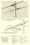 dc6nt_antenne.jpg (72435 bytes)