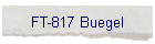 FT-817 Buegel